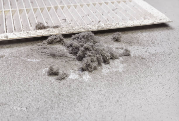 Best Professional Duct Cleaning Services  in Fletcher, OK