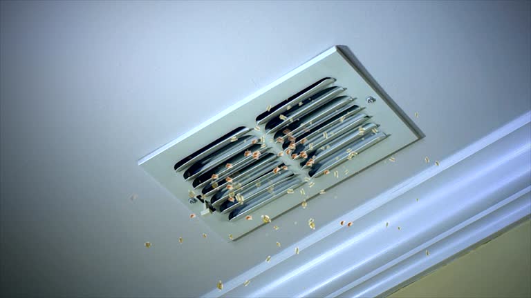 Best Duct Cleaning for Homes  in Fletcher, OK