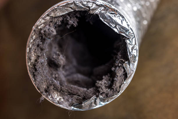 Best Professional Duct Cleaning Services  in Fletcher, OK